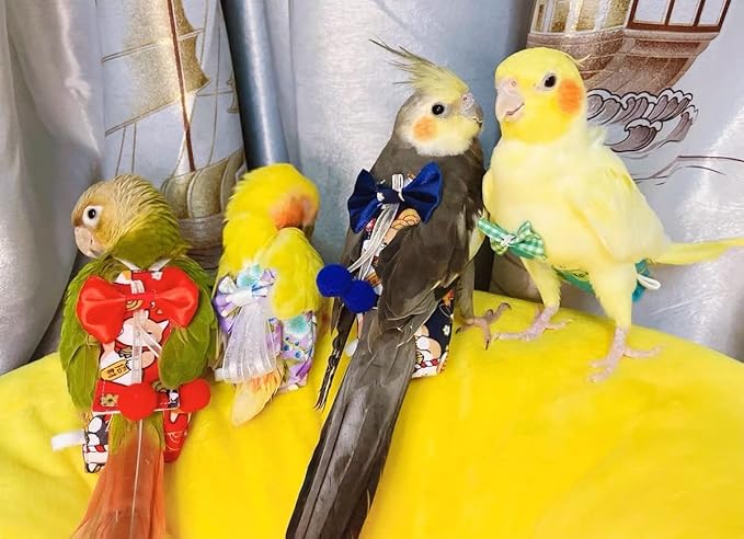 Bird Flight Suits Diapers, Parrot Flight Suits Diapers for Monk Parakeets, Cockatiels Flight Suits, Parrot Clothes, Bird Training Nappy Suit Liners Clothes (Medium,Blue-B)