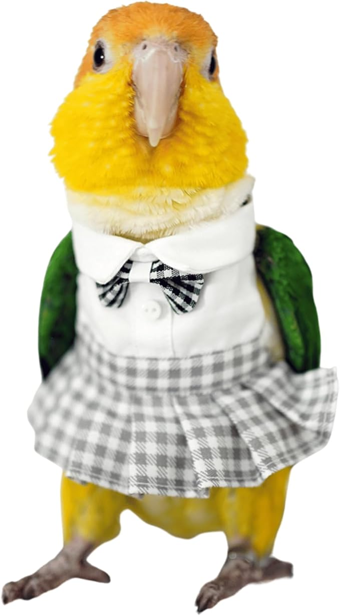 Bird Costume Bird Diaper Flight Suit Cute JK Dress Dress Skirt Clothes Cosplay Photo Prop for Parrots Macaw Cockatoo (with Diaper,Macaw)