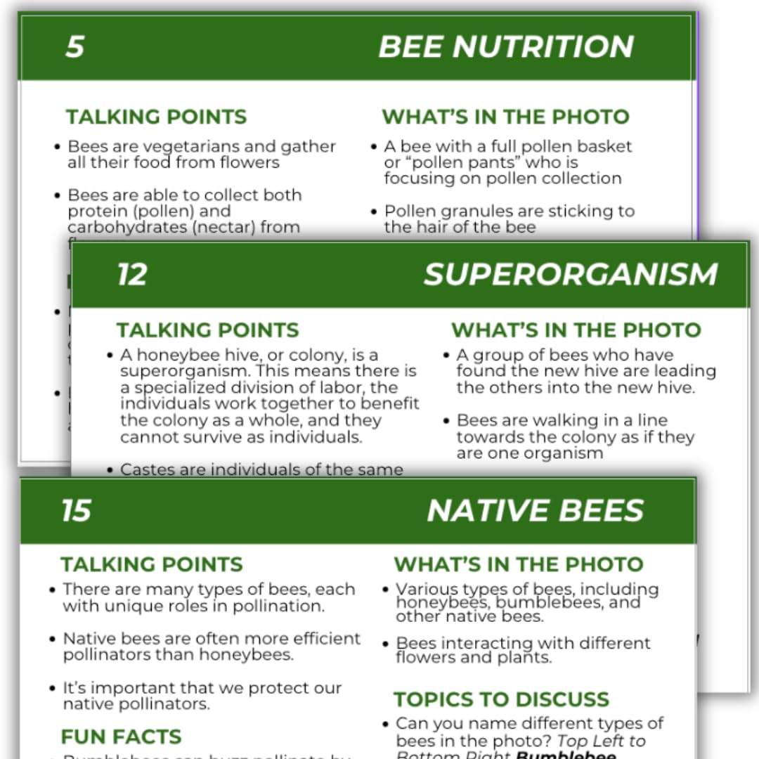 Educational Beekeeping Cards – 12x18 Oversized Beekeeping Flashcards for Teaching Bees and Beekeeping - Classroom and Workshop Learning Tool (Expansion Set - Heavy Card Stock)