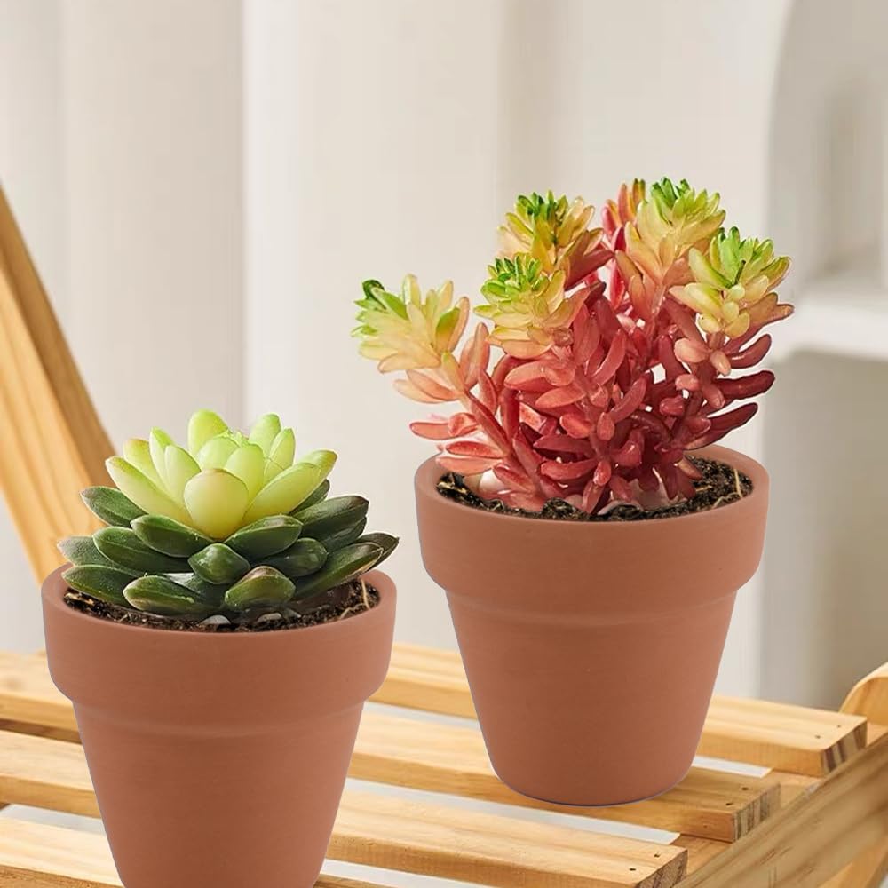 Luckforest Mini Clay Pots, 24 Pcs 2" Terracotta Pottery Planters for Cactus, Succulents, Flowers DIY Crafts Home Kitchen Decor
