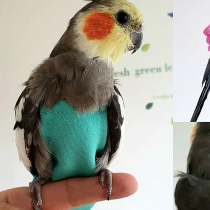 Bird Diaper Harness Flight Suit Clothes, Parrot Flight Suit with Leash for Parrot, Bird Flying Clothes for Outdoor Activities Training (with Leash,S)
