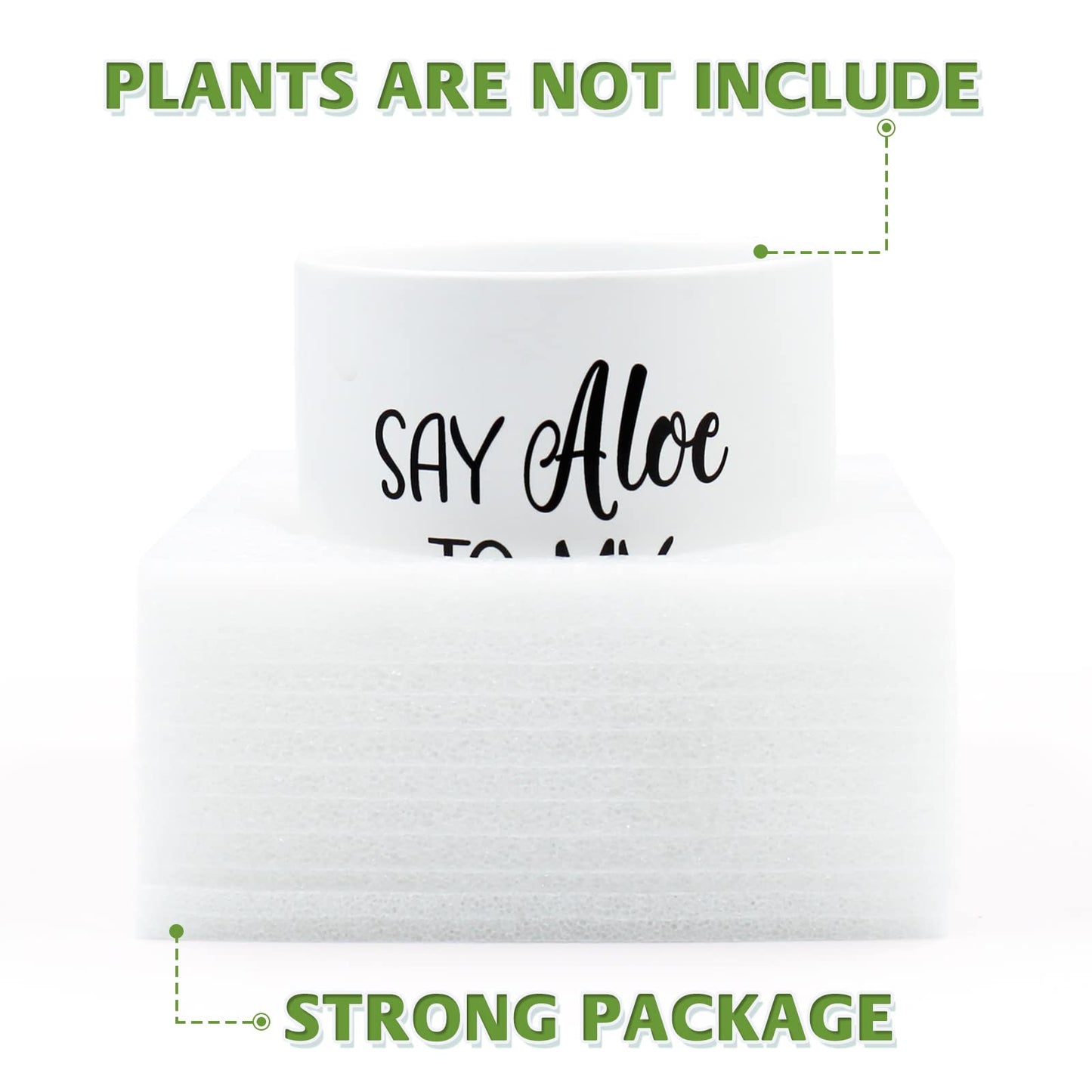 Tuitessine Say Aloe to My Little Friend Planter Plant Lover Set of 2 Spring Funny Pun Flower Pot with Bamboo Tray Ceramic Indoor Succulent Hole Spring Birthday Housewarming Gifts (No Plants)