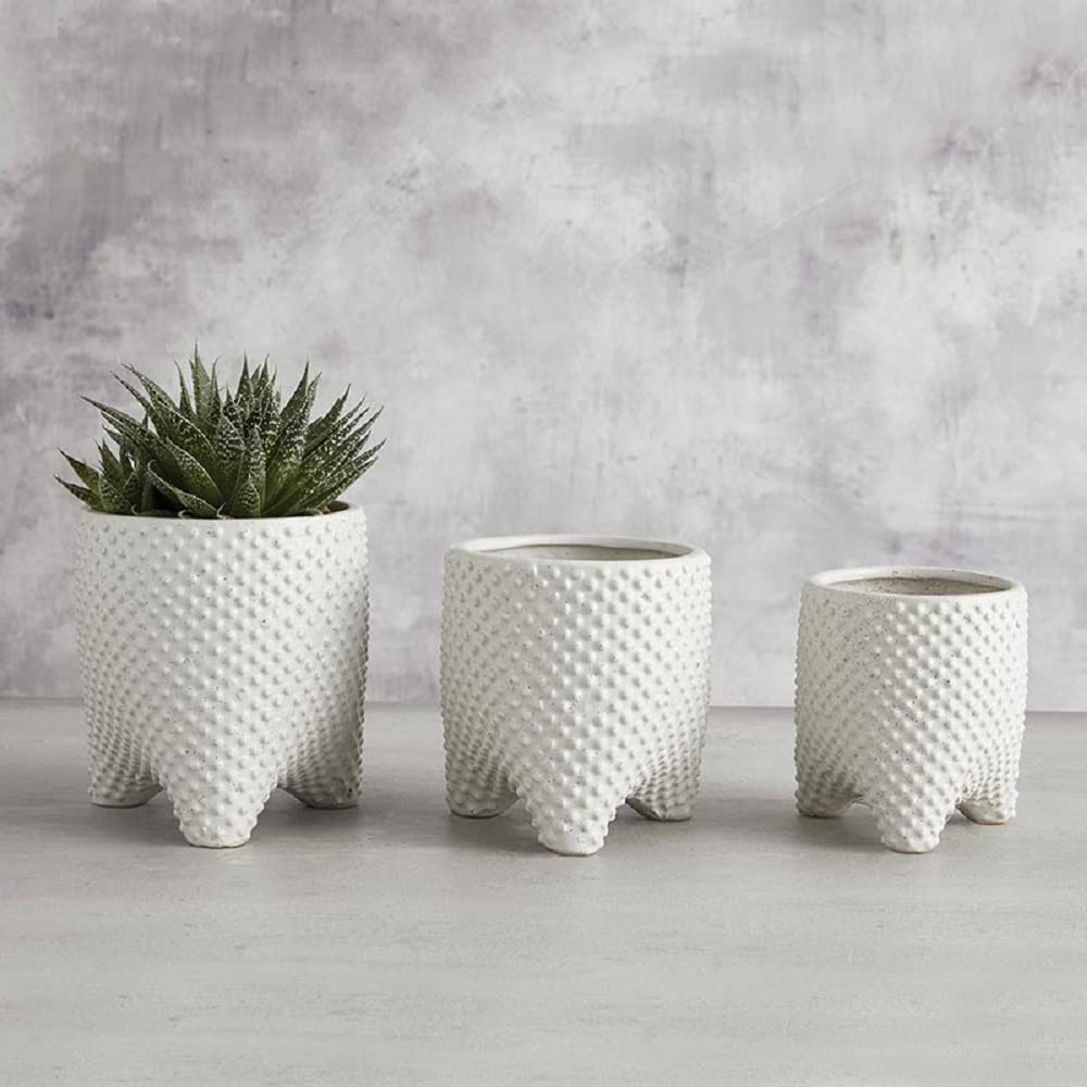 47th & Main Textured Dots Ceramic Tripod Footed Home Decor Pot Planter for Succulents and Flowers, 5.5" Diameter, White