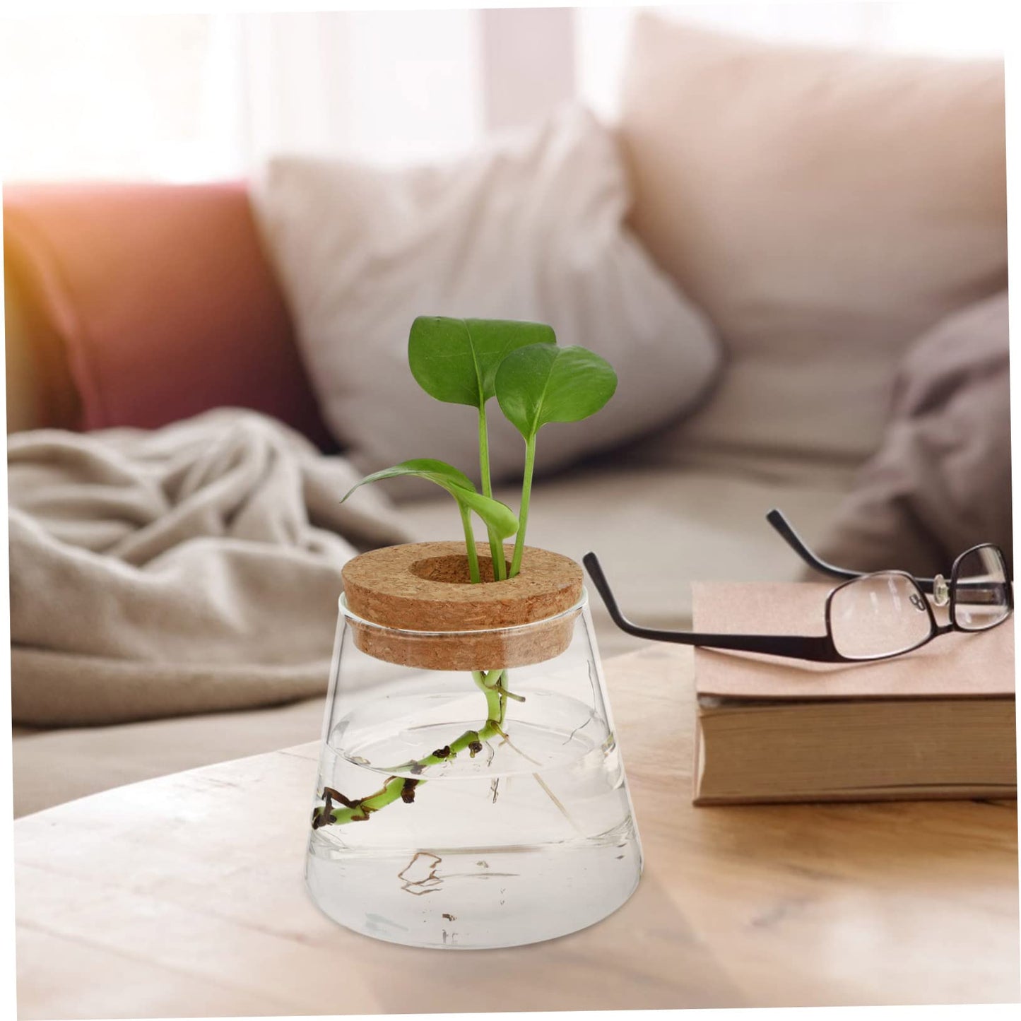 MAGICLULU 2Pcs Glass Terrarium for Hydroponics Plants Desktop Vases with Smooth Glass Craftsmanship Stylish Plant Propagation Jars for Home Office Decoration