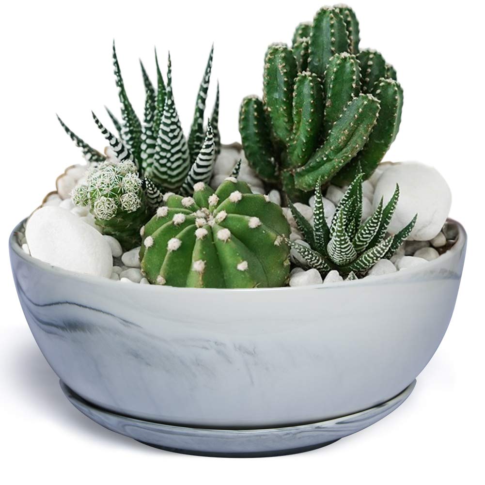 G EPGardening 8+10 Inch Ceramic Succulent Planter Pots Round Shallow Bonsai Planter Pot for Indoor Plants with Drainage and Plant Saucer