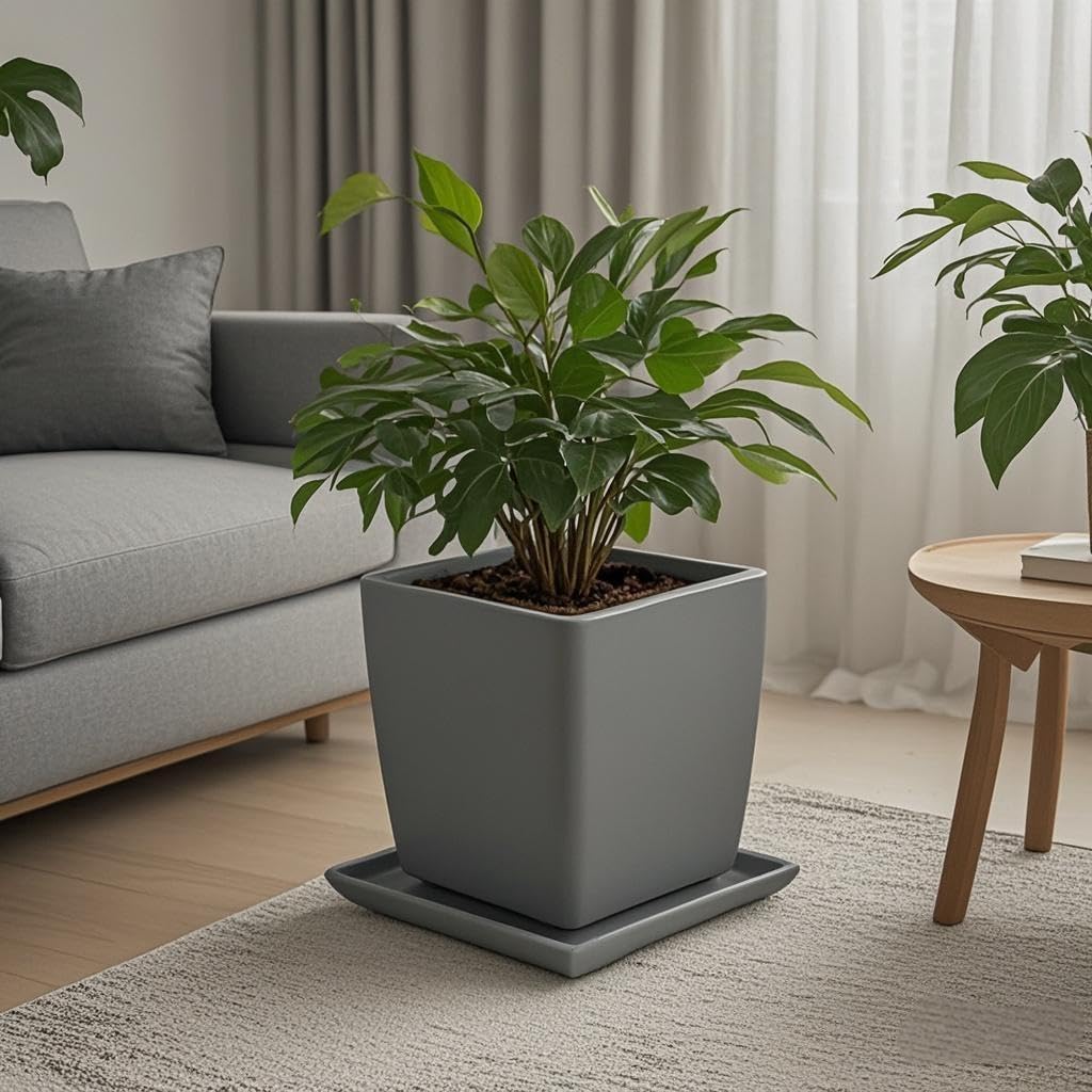 Square Plant Saucer 10 Inch 1 Pack，Plant Trays for Pots, Gray Ceramic Plant Saucers for Indoors Outdoors, Plant Drip Tray 4 6 8 10 12 14 Inch