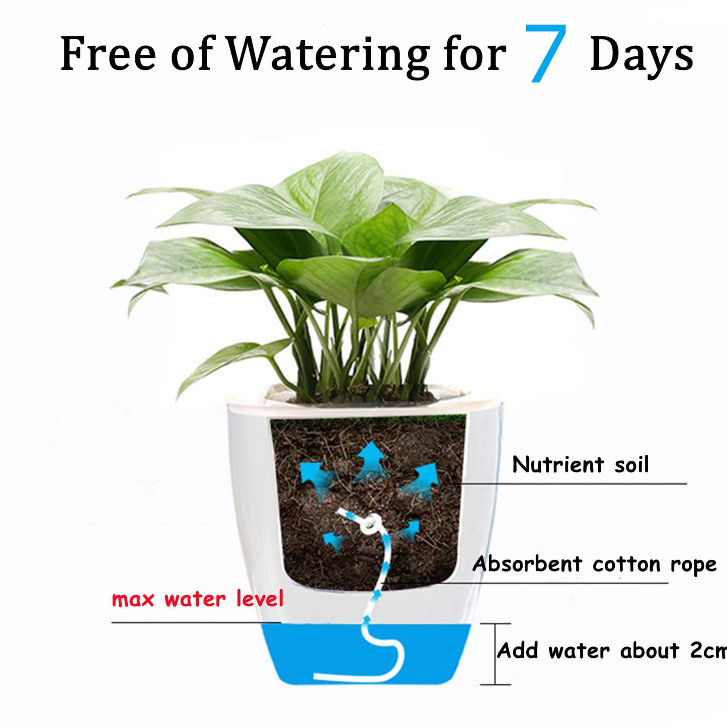 Lyellfe 6 Pack Plastic Self Watering Pots, 4 Inch Clear African Violet Pots for Indoor Plants, Automatic-Watering Planter with Drainage, Wick Rope, Windowsill Gardens, Herb, Orchid