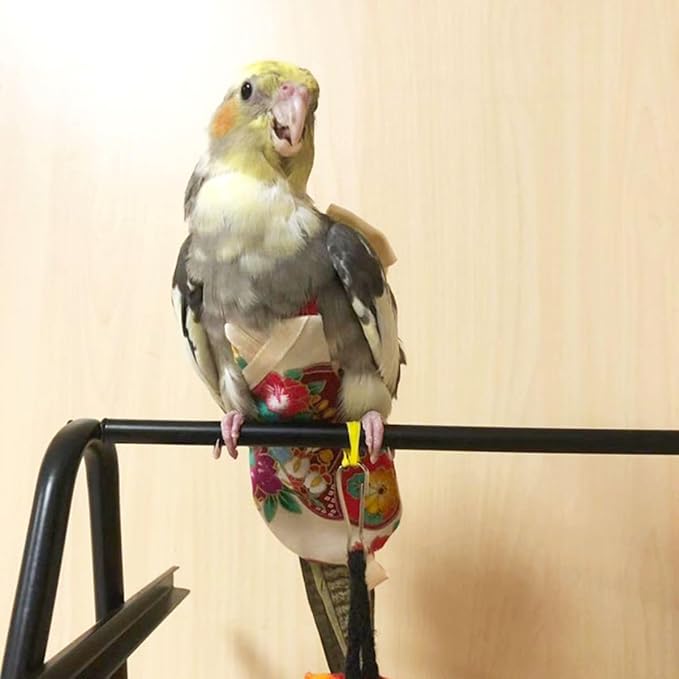 Bird Flight Suits Diapers, Parrot Flight Suits Diapers for Quaker Parakeets Cockatiels Flight Suits, Parrot Clothes (Black,Macaw)