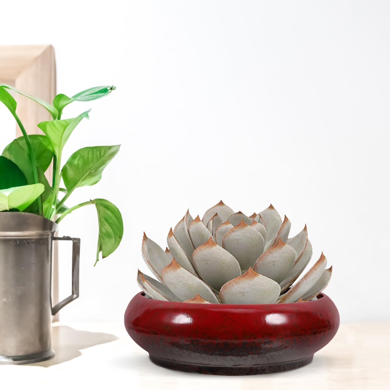 Mipcase Ceramic Water Lily Pot Plant Pot Drainage Clay Bowls for Succulent Plants Random Color