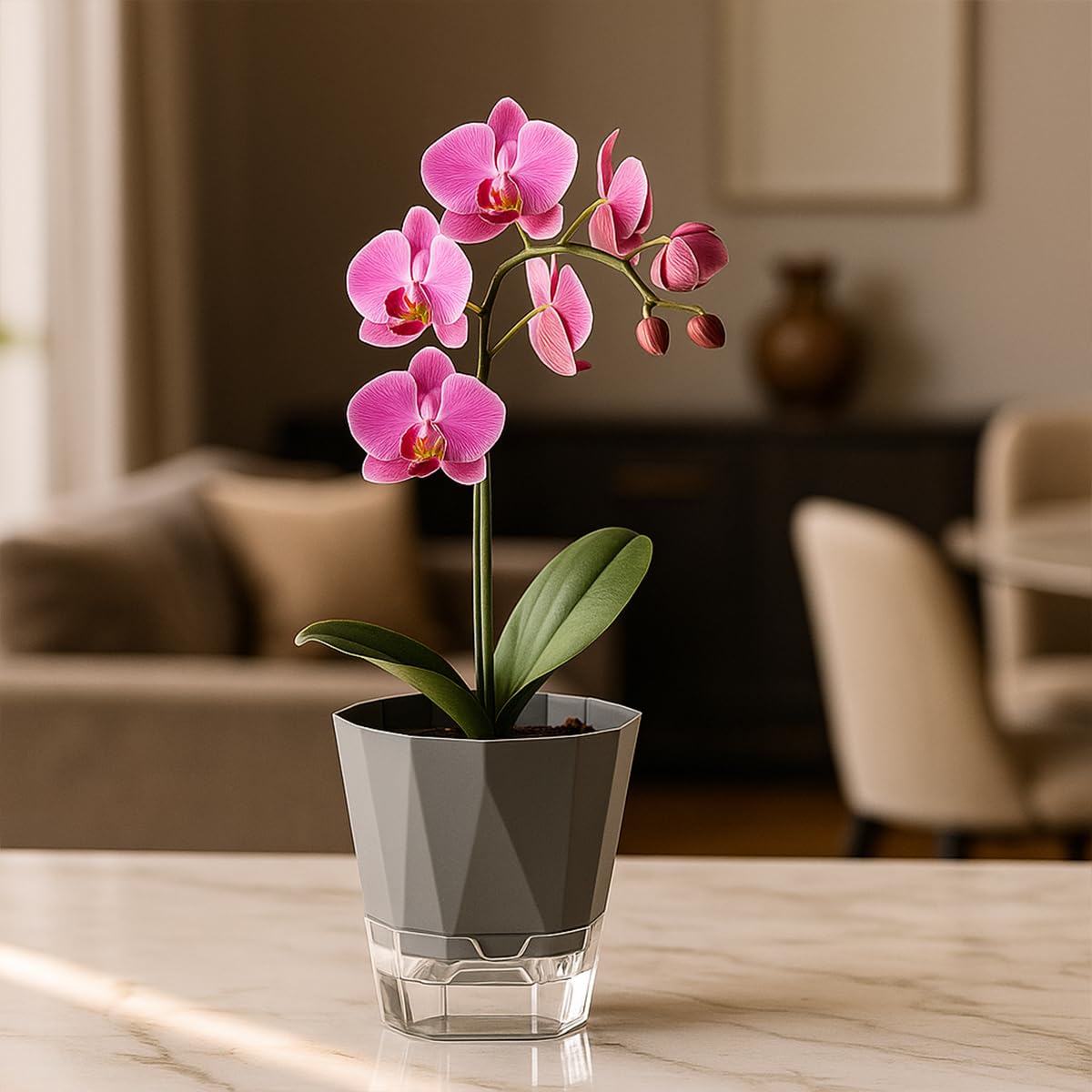 6 Pack Self Watering Pots for Indoor Plants, 5 Inches Self Watering Planters African Violet Self Watering Clear Pots for Plants Herb Orchid Flower Houseplant, Dark Grey