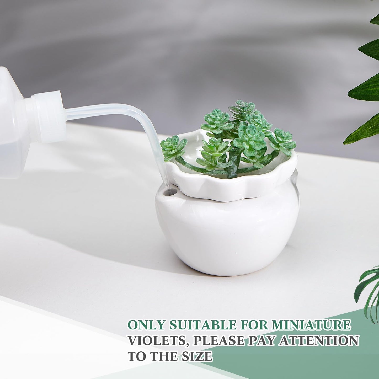 Sunnychicc 4 Set 4 Inch African Violet Pots Self Watering White Ceramic Planter Highly Absorbent Inner Planter Pot for Indoor Plants Plant Lovers Ideal Plant Pot Thriving Plant Flower Maintenance