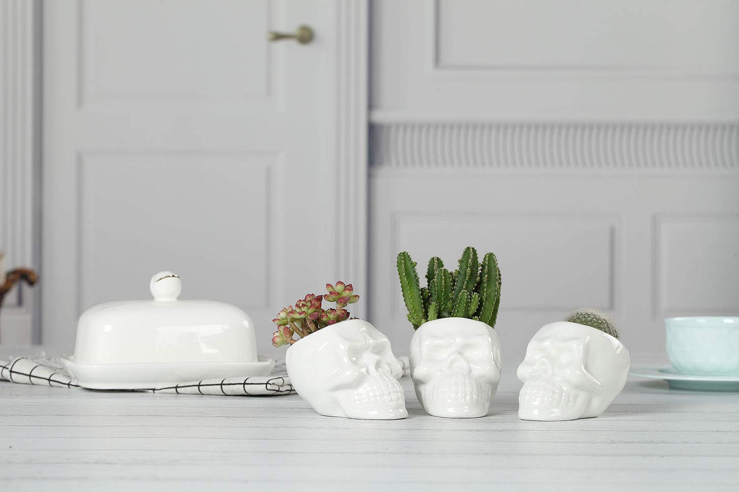 T4U Skull Succulent Planter Pots Set of 3, Gothic Caramic Planter, Creative Plant Lover Gifts for Christmas Birthday House Warming, Cactus Plant Pot Pen Pencil Holder for Home Office Decor, White