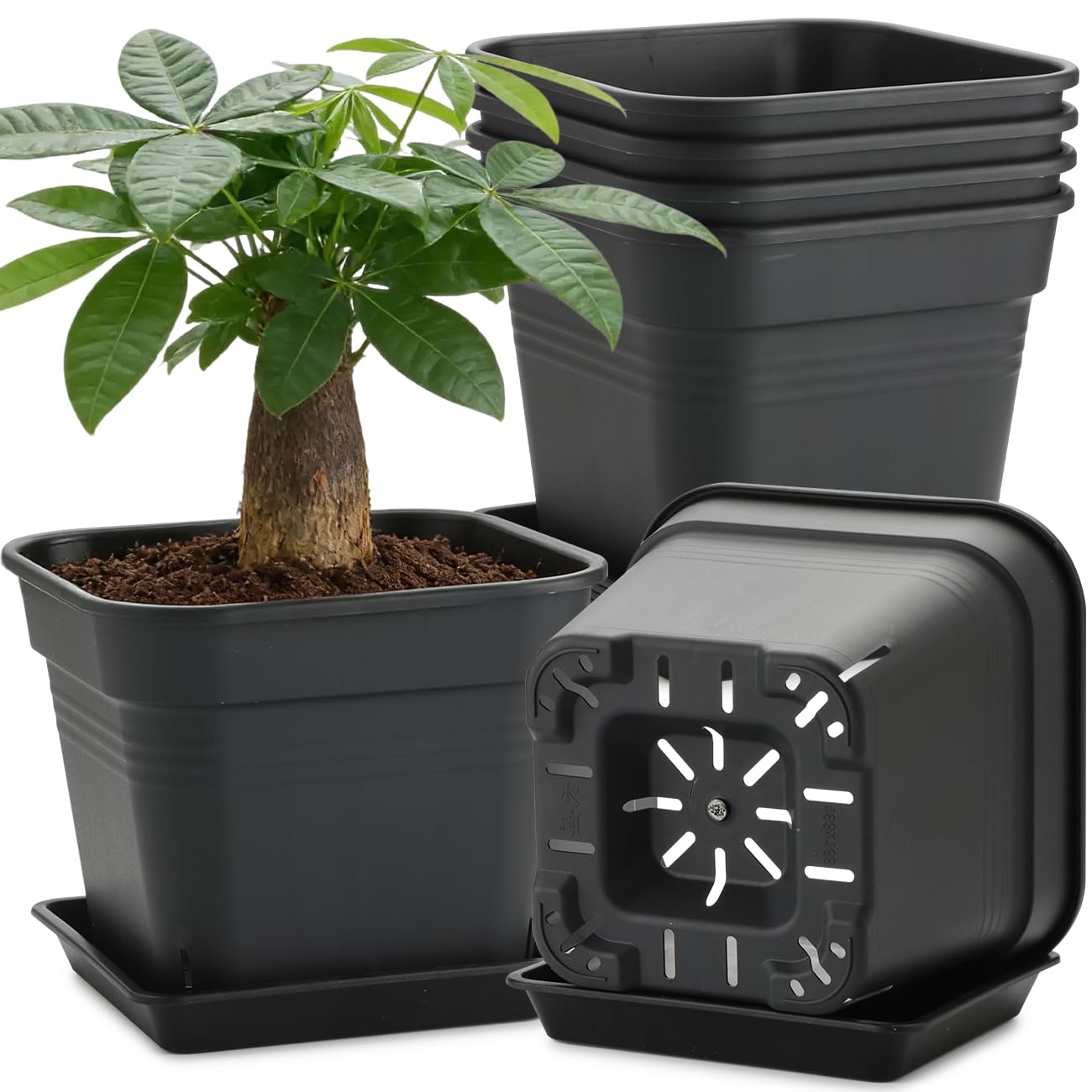 8 Inch Square Plastic Planter Pot- 6 Pack Heavy Duty Planters with Trays, 24 Strip Drainage Holes for Root Aeration & Prevention of Root Rot, Raised Bottom Airflow Center, BPA-Free Black Flower Pots