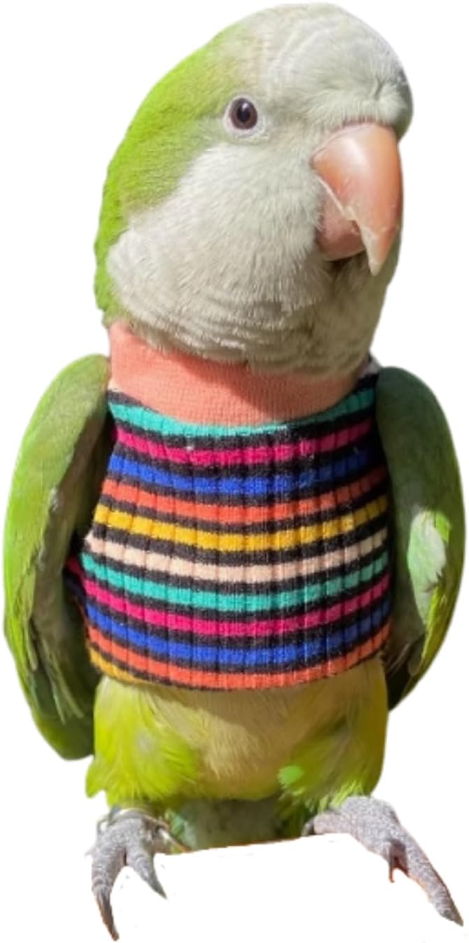 Bird Clothes - Handmade Cotton Stripe Shirt Round Collar Sweater Flight Suit for Parrots African Greys Parakeet Cockatiel Sun Conure Christmas Halloween (with Diaper,L)