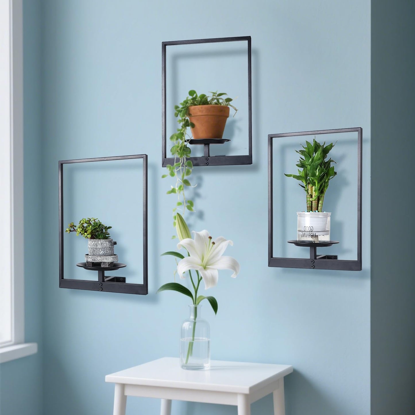 SUNLITOPTO Plant Wall Shelf, Metal Modern Style Frame, Picture Wall Plant Holder, Plant Frames for Living Space Decor Display Stand for Living Room Balcony Garden Patio (3 PACK(BLACK ))