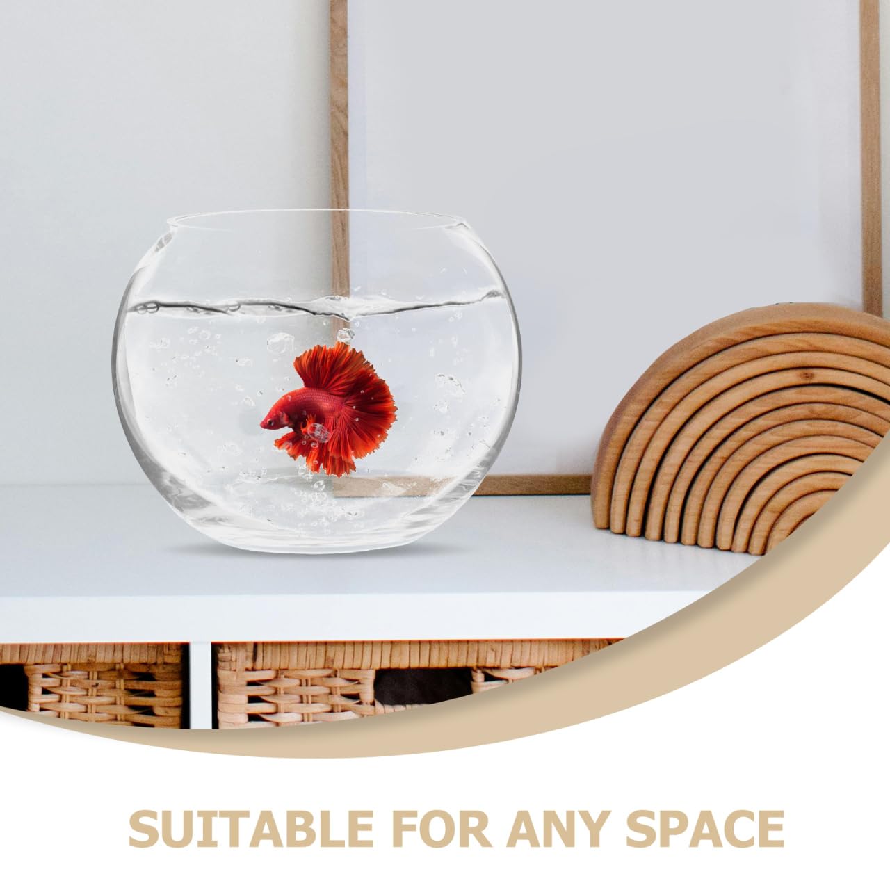Baluue Round Glass Fish Bowl 5.90 Inch Clear Bubble Vase Terrarium Planter for Hydroponic Plants Flower Display Home Office Decor Compact Design