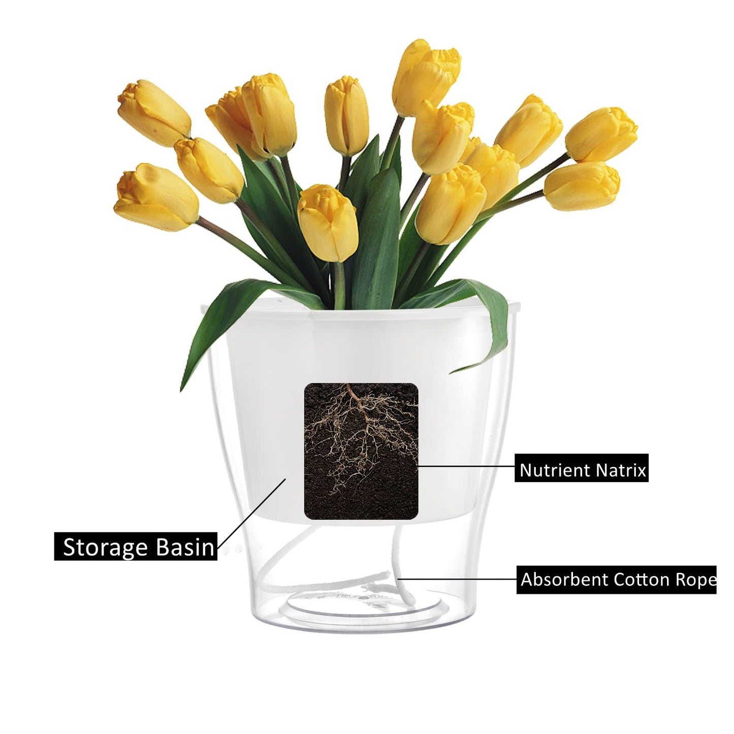 ZOOFOX 4 Pack Self Watering Pots for Indoor Plants, 7 Inch Large Clear Plastic Automatic-Watering Plant Pot, Modern Decorative Pot for Indoor Plants, Flowers, Herb, Aloe, Orchid, African Violets