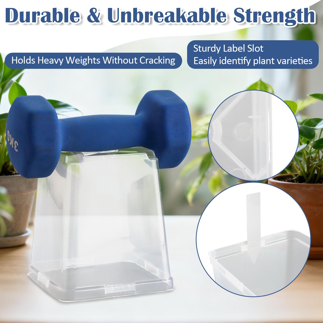 RooTrimmer 5.5 Inch Clear Square Nursery Pots with Drainage & Labels, 30Pcs Reusable Seed Starter Pots for Vegetables, Indoor Outdoor Gardening, Thick Transparent Plastic Plant Pots for Seed Starting