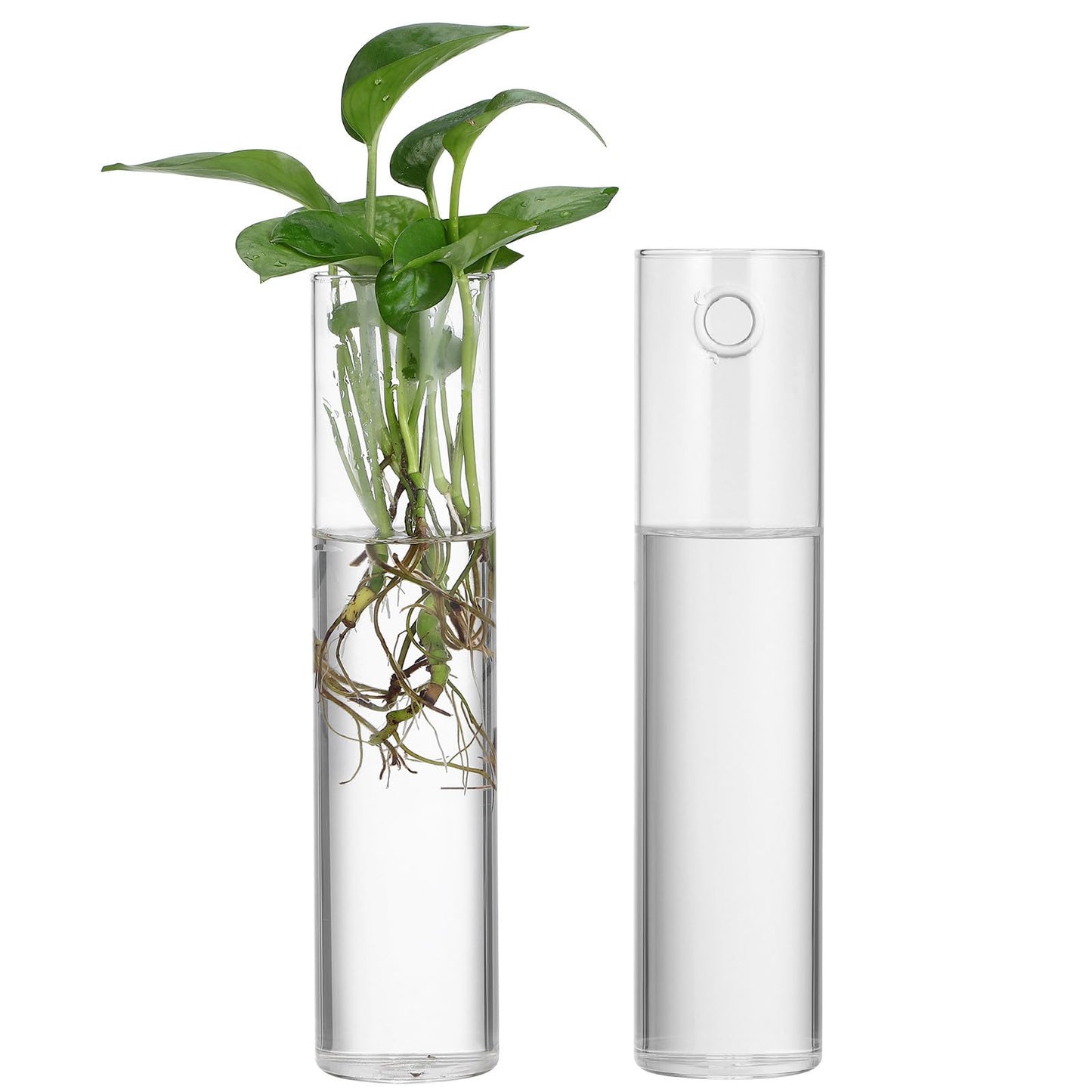 Balacoo Wall Hanging Glass Cylinder Vases for Plant Propagation, Hydroponic Holders, 2pcs Large Tube Glass Terrarium Holders for Home and Office Décor