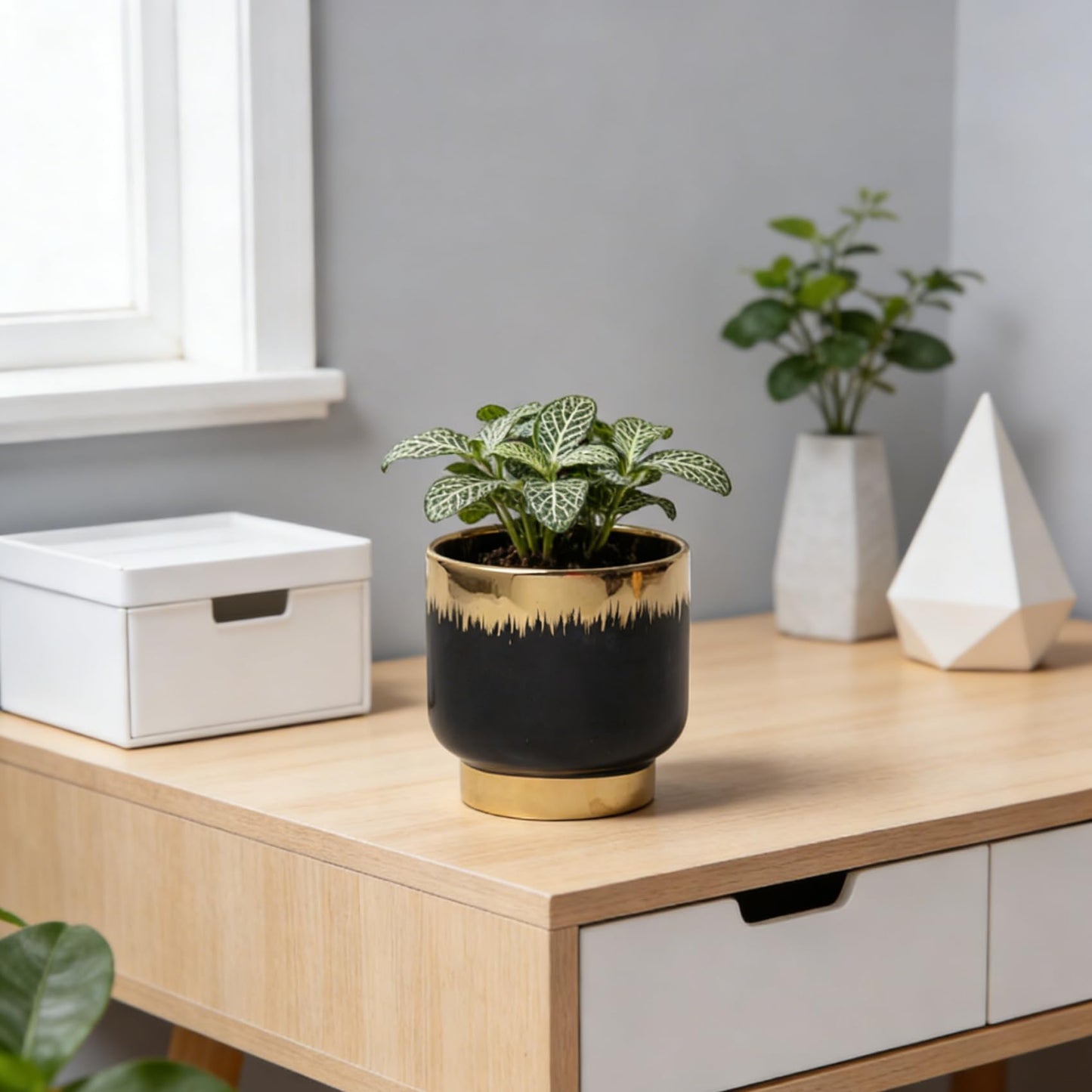 LB Black Gold Ceramic Planters for Indoor Plants, Succulent Plant Pots Ceramic Plant Pot, Modern Flower Pots for Living Room Office Home Decor, Round Flower Pot of 4.3 Inch(Plant Not Included)