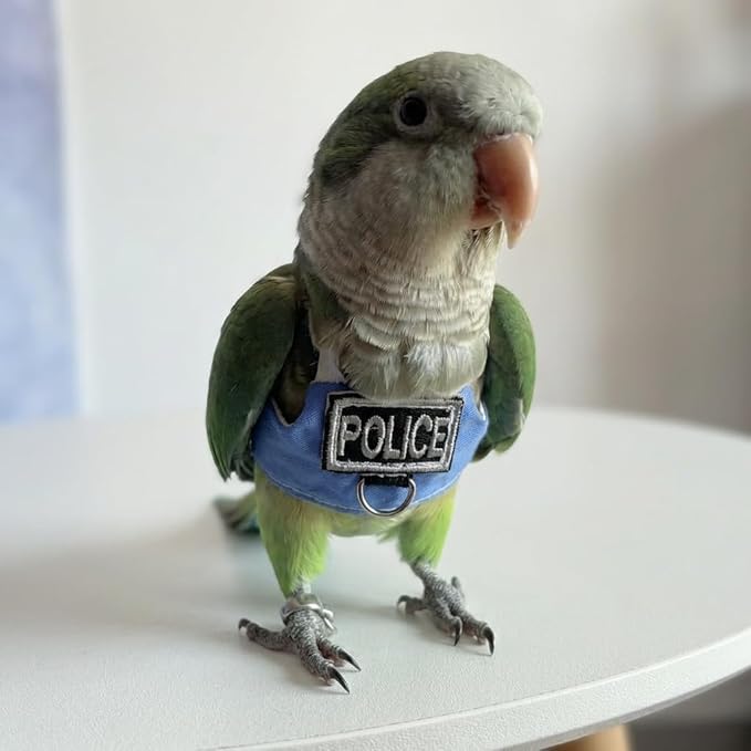 2 Pack Bird Flight Suit Vest, Adjustable Parrot Harness Clothes with Cute Design, Anti-Bite Outdoor Training Outfit for Parakeet, Cockatiel, Conure, Quaker, Budgie (2M,Without Leash)