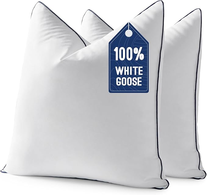 MIULEE Goose Feather Down 26x26 Euro Pillow Insert Set of 2