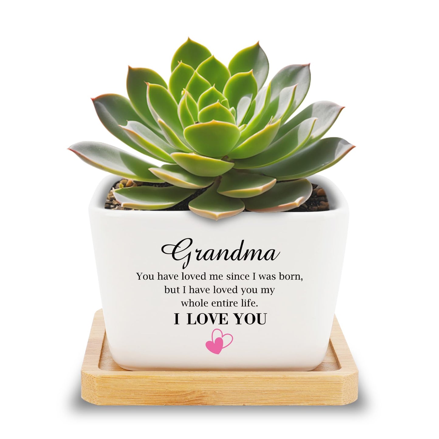 Grandma Gifts Mothers Day Plant Pots Gifts for Grandma Birthday Gift for Nana Granny Grammy Grandmother Nannie Meemaw Maw Maw Nanna from Grandson Granddaughter Grand Mother's Day Valentines Christmas
