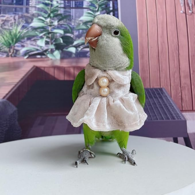 Bird Costume Bird Diaper Flight Suit Parrot Velvet Fleece Skirt Clothes Cosplay Photo Prop for Conure Lovebird Parakeet Cockatiel Macaw Small Animals Apparel (Pink,XX-Large)