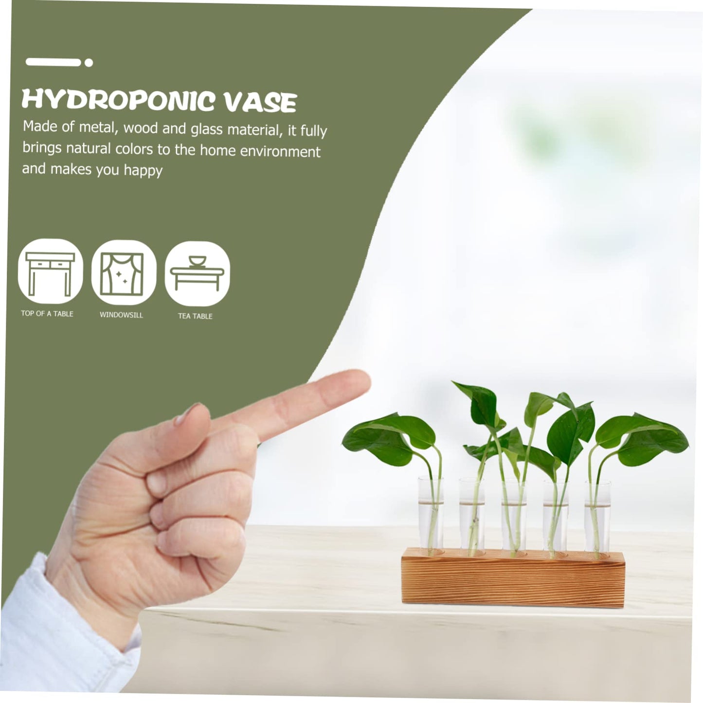 Homoyoyo 1 Set Clear Hydroponic Glass Vase for Decorative Planting - Ideal for Centerpieces - Air Plants and Flower Propagation Elegant Terrarium Planter for Home and Office Decor