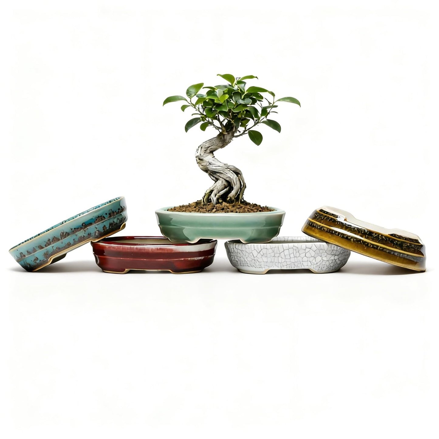 KyoYi Bonsai Pots & Small Ceramic Planters, Set of 5 with Drainage - 5 Inch Shallow Indoor Pots for Succulents, Bonsai, House Plants, Vintage Red and White Glazed Flower Pots, Plant Lover Gift