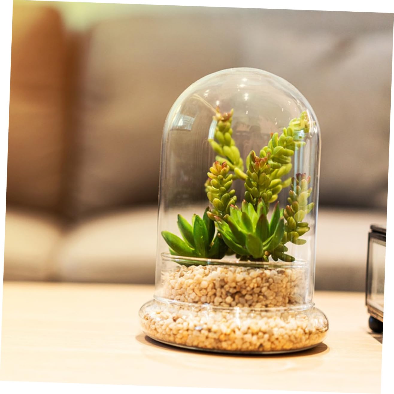 Micro Landscape Vase Glass Plants Terrarium Decorative Landscape Bottle Micro Landscape Planter Bottle Micro Landscape DIY Bottle Glass Terrariums for Plants DIY Plants Container