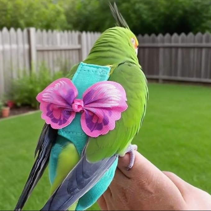 Pet Bird Diaper Harness Adjustable Parrot Harness and Leash Set Cockatiel Flight Suit with 60 Inch Leash Bow Tie Bird Flying Clothes for Conures Cockatoos Cockatiel Pigeon(Pink, Small)