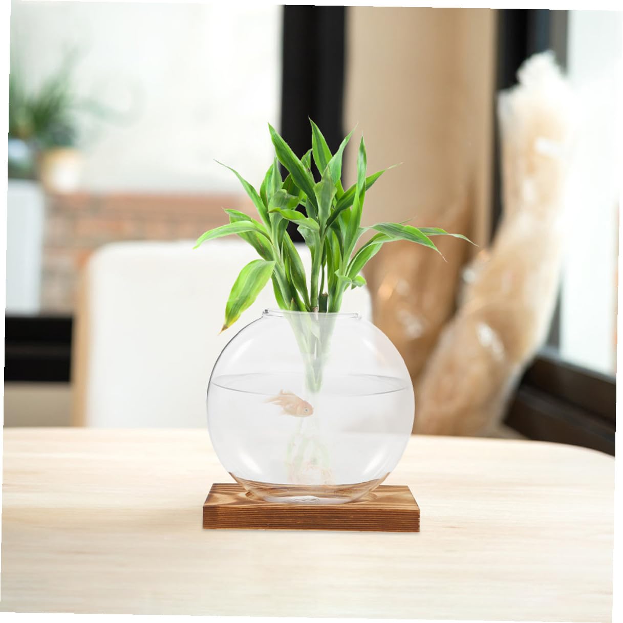 HYTROVE 2Pcs Hydroponic Glass Vase with Wooden Base, Propagation Planter for Indoor Plants, Desktop Terrarium Station for Home and Office Decor