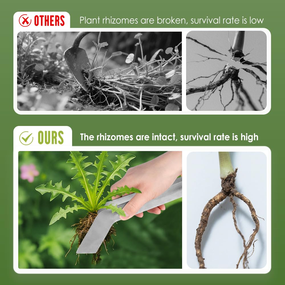 Seedling Transplant Tongs, Stainless Steel Seedling Remove Transplanting Pliers, Anti-Slip Grasp Tips Gardening Plants Transplant Tongs for Reducing Root Damage (2PCS, Large)