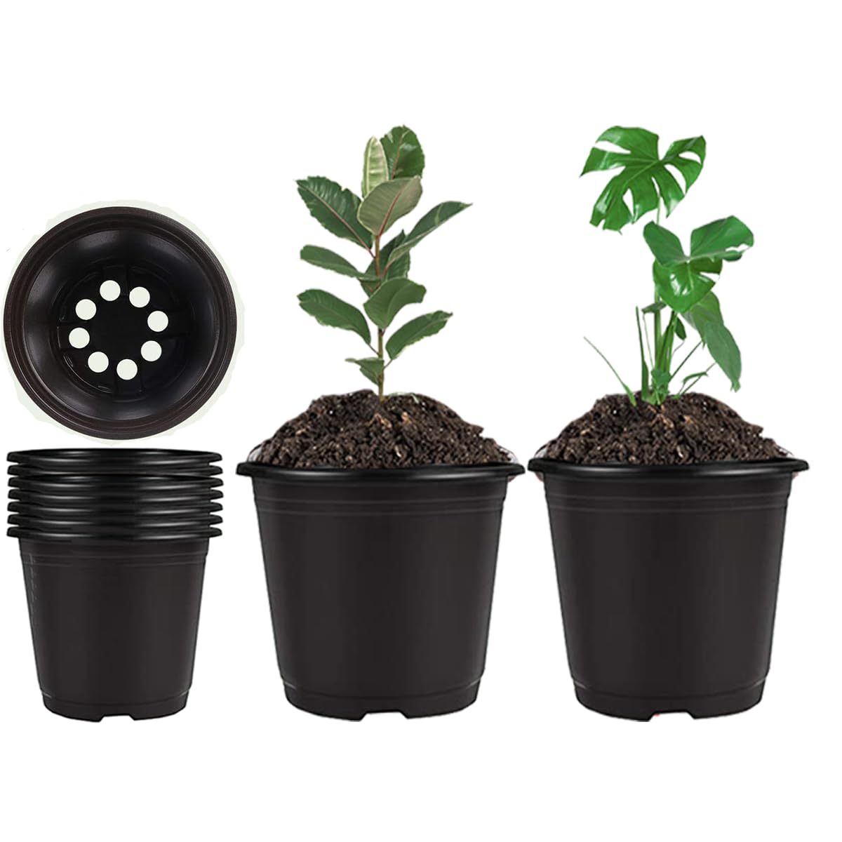 Farsheo Nursery Pots 50PCS 6inch Plastic Plant Flower Seed Pots Starter Pot for Seedling Nursery Supplies Grow Planter Flower Pot Container for Seedling Cultivation (Black 6inch 50PCS)