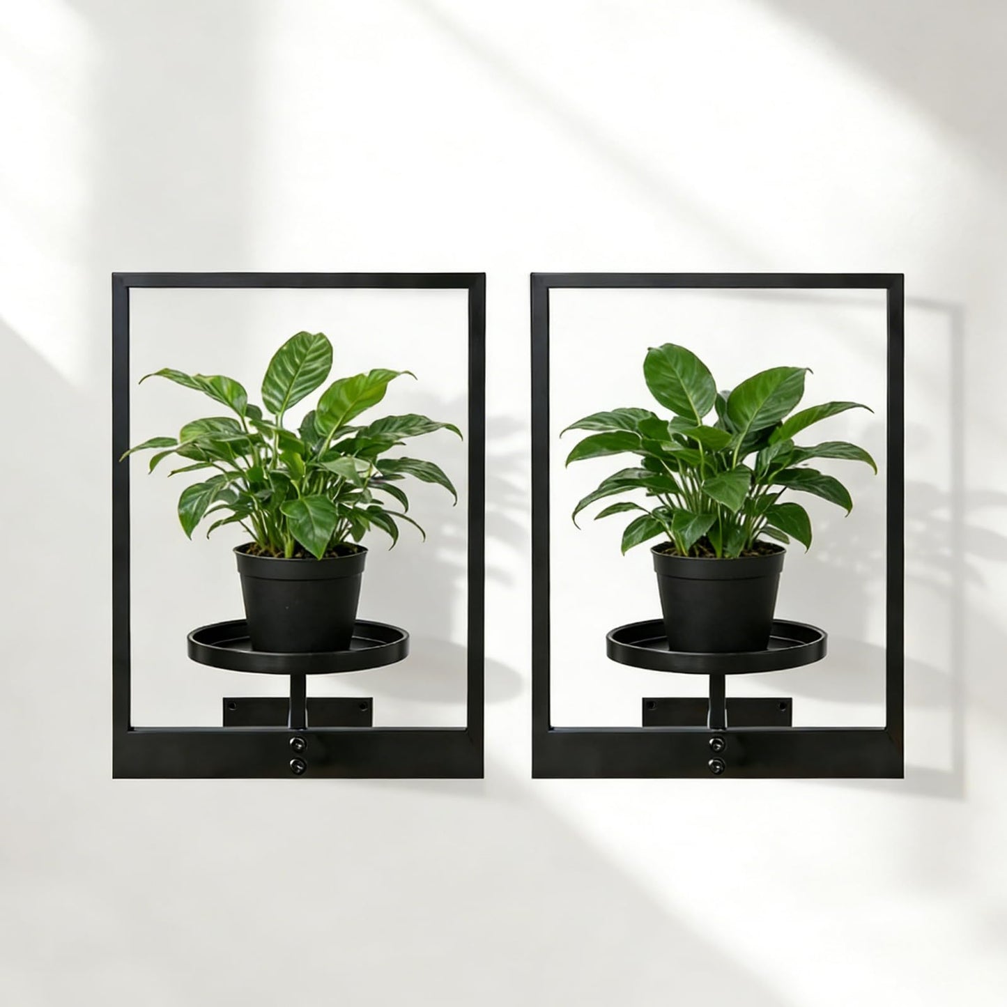 bbteroiu Picture Frame Wall Planters Set of 3, Modern Metal Hanging Shelves for Plants, Rustproof Wall Mount Flower Pot Holder for Indoor Outdoor, Decorative Plant Stand for Living Room Patio, Black