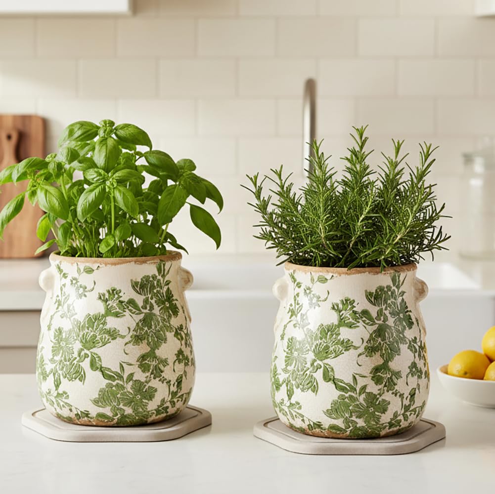 Xiaan Jiaju Plant Saucers for Indoors, 2 Pack 8 Inch Plant Trays for Pots, Instant Drying Diatomaceous Earth Tray to Keep Countertop & Floor Dry and Clean, Home Decor Gifts