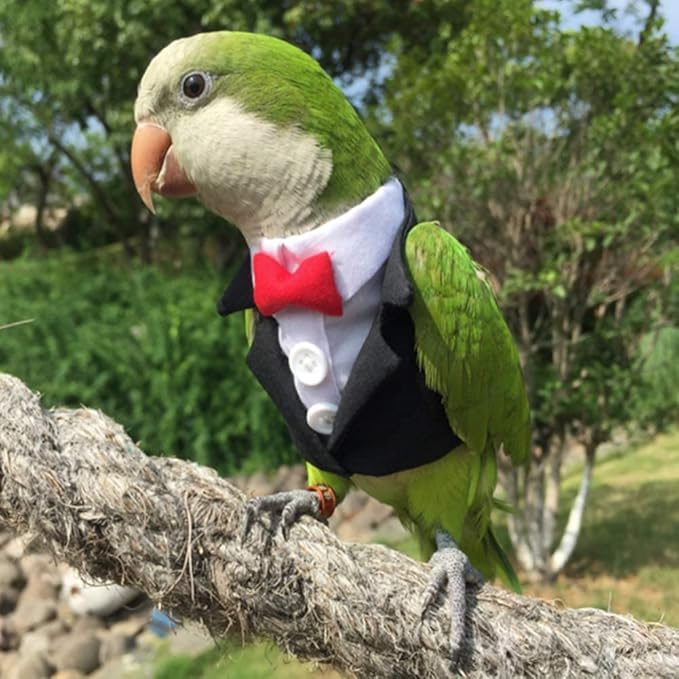 Bird Clothes Birds Flight Suit,Tuxedo Business Suit for Parrots African Greys Parakeet Cockatiel Sun Conure Christmas Party Birthday Cosplay Photo Prop Small Animals Apparel (XL,Black Suit)