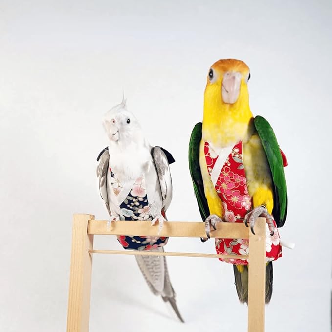 Bird Flight Suits Diapers, Parrot Diapers for Monk Parakeets, Cockatiels, Parrot Clothes Costume, Bird Training Nappy Suit Liners Clothes (Large,Black)