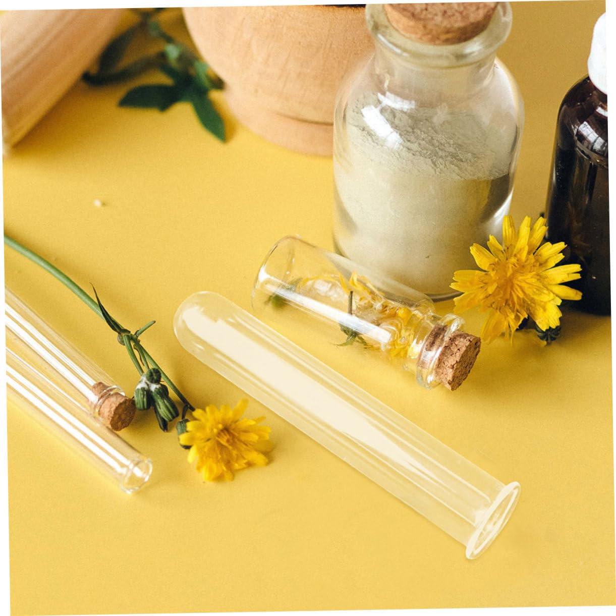 VALICLUD 6pcs Clear Glass Test Tubes for Plants Hydroponics Vase Transparent Flower Tubes Desk Terrarium Water Propagation Decorative Plant Containers