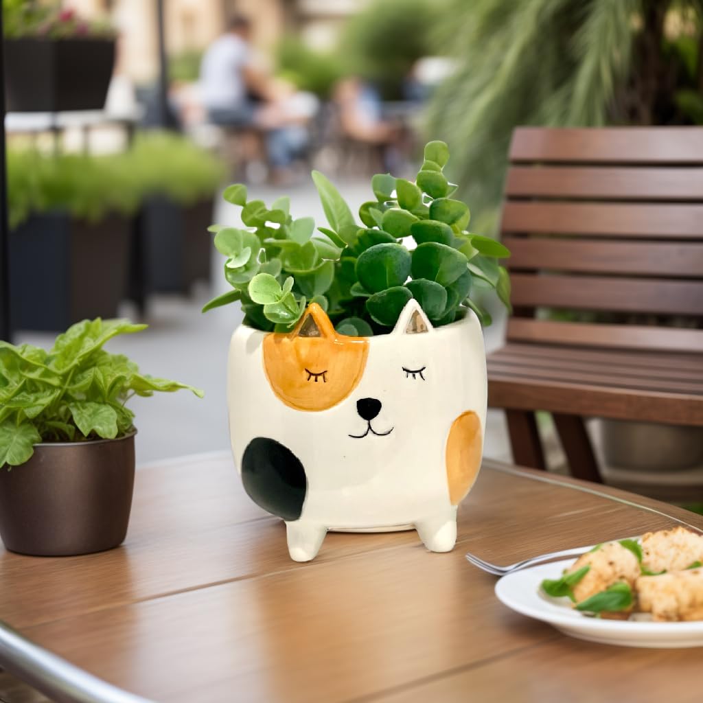 SparkDazzle Cat Planter Pot | Indoor Planter for Plants | Cat Lover and Gardening Gift | Animal Succulent Planter | Gifts for Women