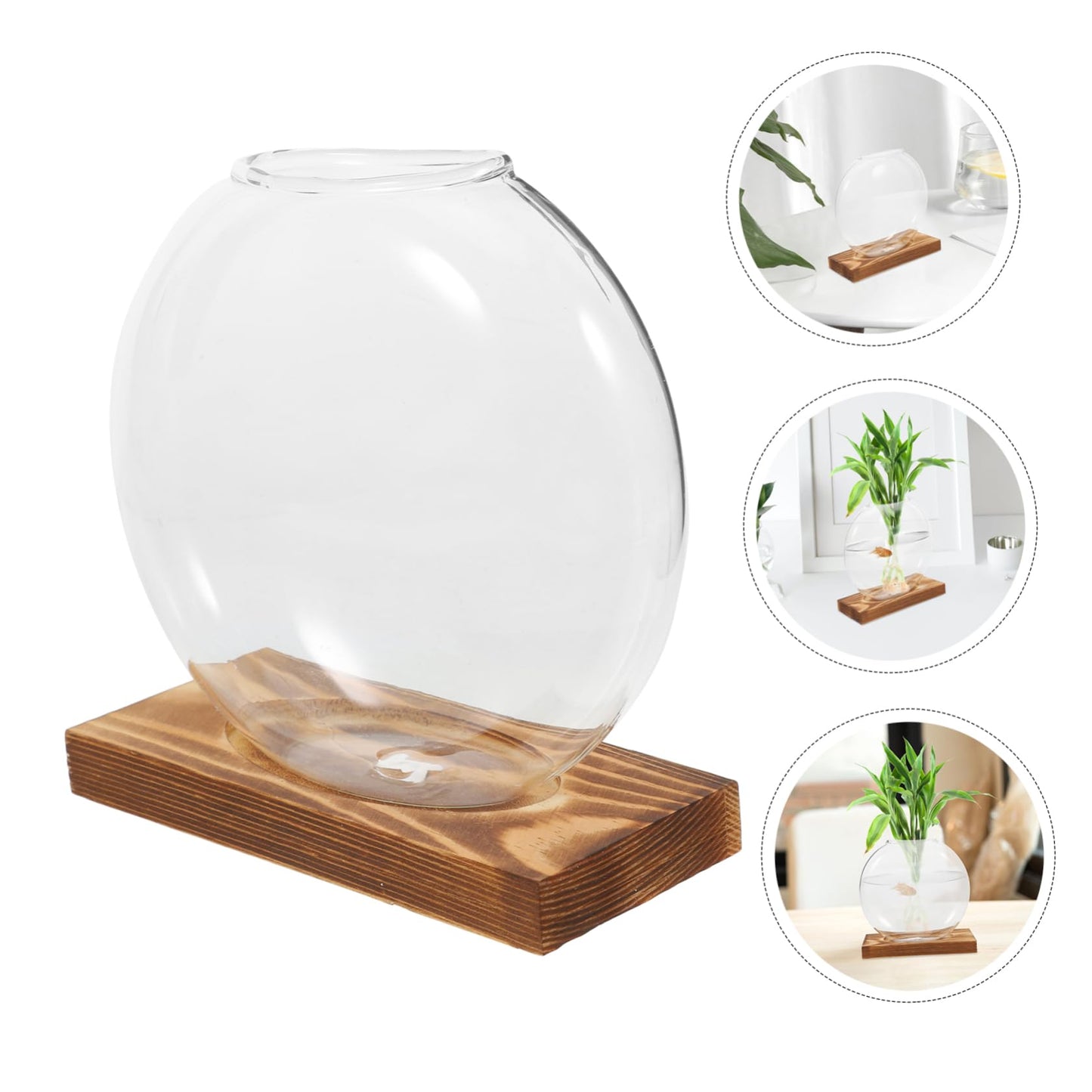 BESTonZON 1piece Modern Plant Decor Hydroponic Vase Glass Terrarium Jar Terrarium Container Creative Propagation Vase Plant Window