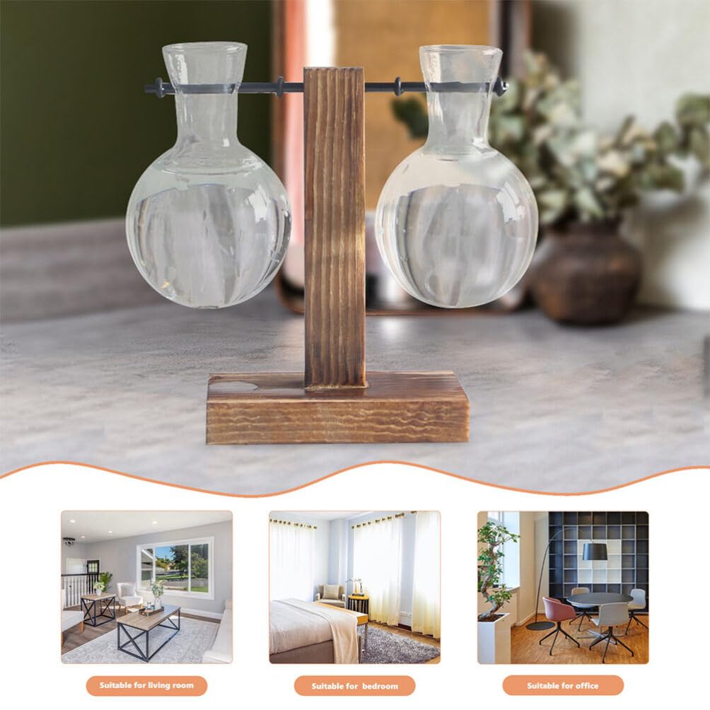 Toddmomy Hydroponic Glass Planters 2-Pack Clear Bulb Vase Accessories for Indoor Plant Propagation Table Centerpiece Home Decor Terrarium Display 3.93X2.75X2.75In