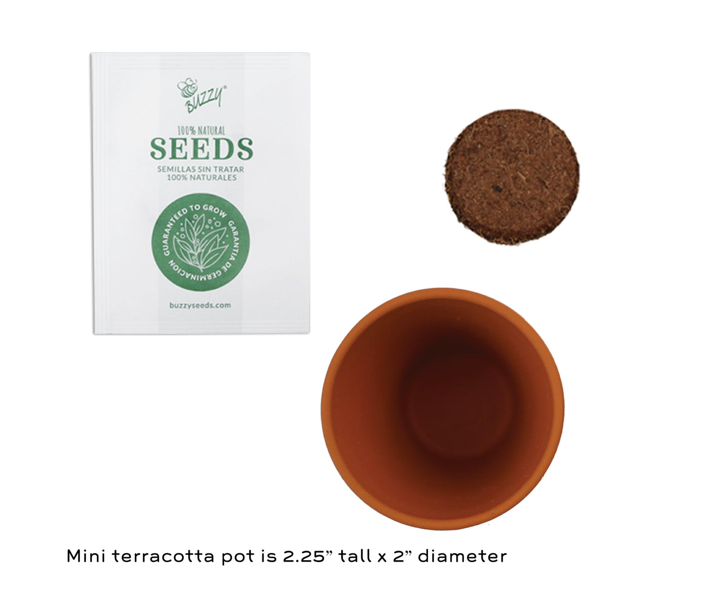 BUZZY Seeds Daydream Mini Terracotta Pots 12-Pack with Daisy Seed Packets – All-in-One Starter Set with Growing Medium and Easy Instructions, Gardening Gift, Wedding Favors, Corporate Gifting