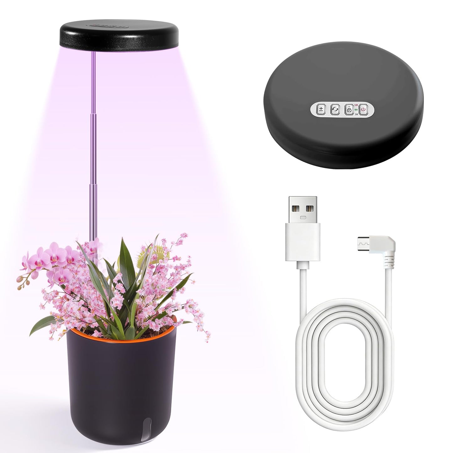 Raygrov Self-Watering Planter with Grow Light — Indoor Herb Garden Kit, Smart Plant Pot for Microgreens, Cat Grass, Catnip & Houseplants, 2-in-1 Wall + Desktop, USB 5W Full Spectrum LED