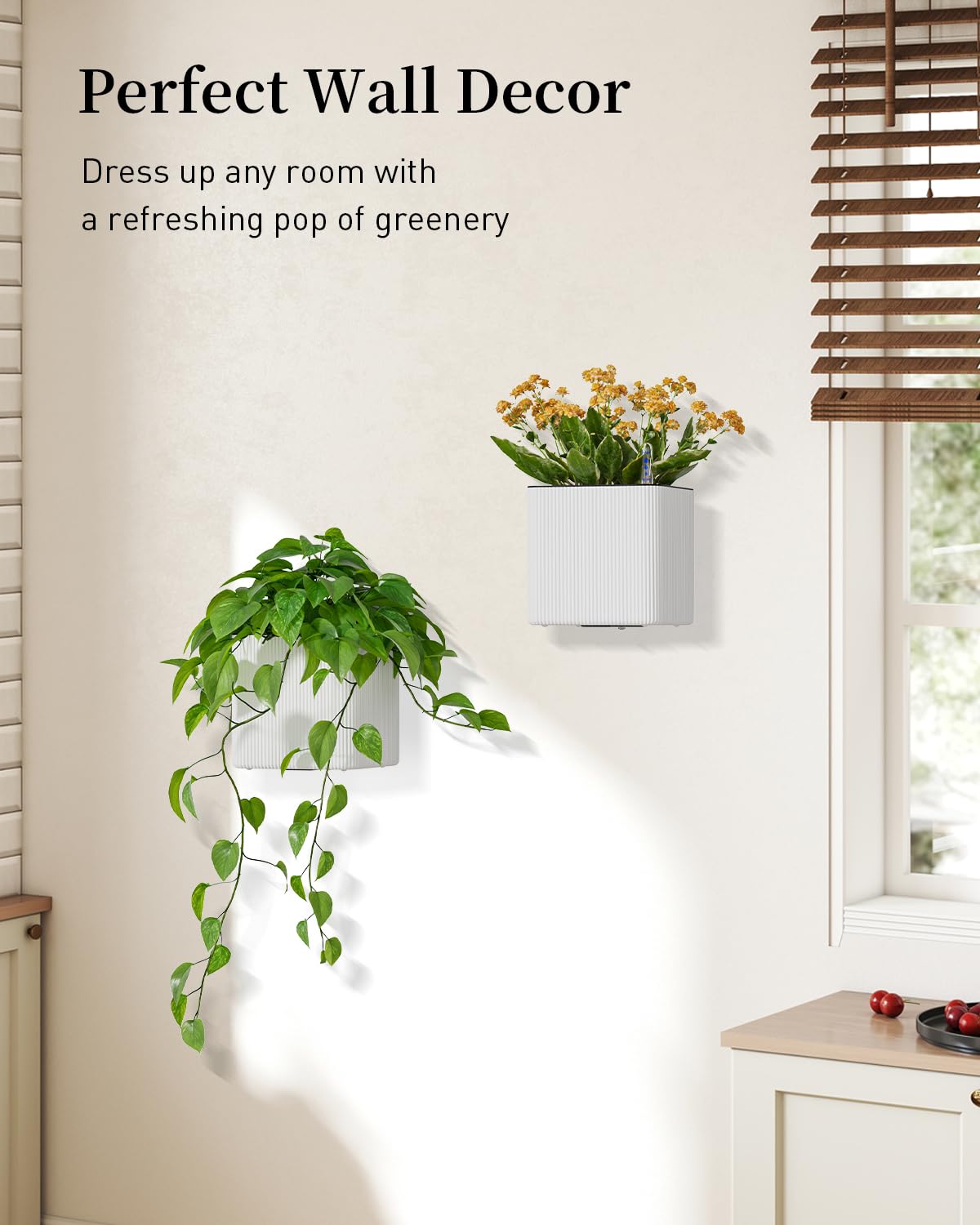 Pawfly 2 Pack Self-Watering Wall Planters for Indoor Plants, 5.5" x 5.5" x 5.3", Wall Plant Holders Plant Hanger Indoor, Wall Hanging Planters for Indoor Plants, Hanging Plant Pots Flower Pots