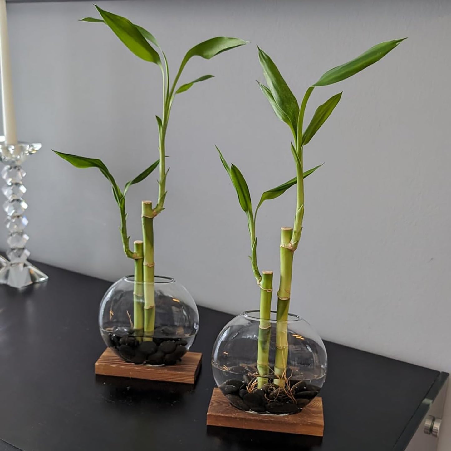 HAKZEON 4 Pack Desktop Round Glass Planter Hydroponics Vase, Glass Planter Terrarium Flower Vase with Wooden Stand, Propagated Plant Jars for Plants, Flower, Home Office Desktop Decor