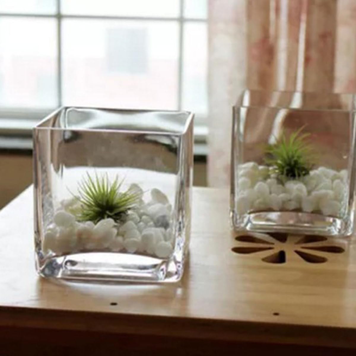 SECFOU 4.5 Inch Cube Glass Vase for Succulent Plants and Greenery, Small Terrarium Planter Pot for Hydroponic Use, Decorative Tabletop Flower Container for Home and Office