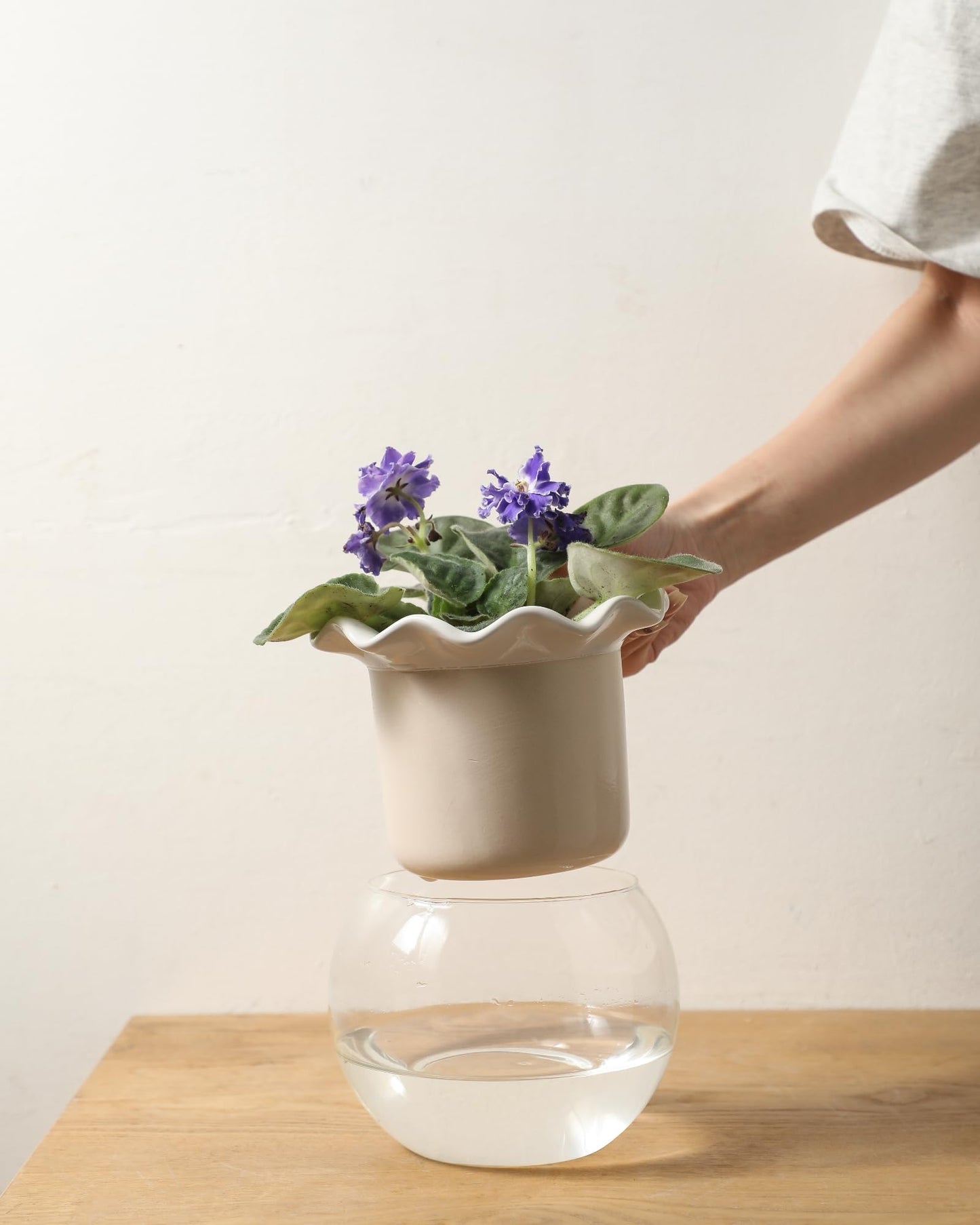 Fayoula 6 Inch African Violet Pots Maintenance, Glass Self-Watering Planter for Indoor Plants - Ideal Flower Pot for Thriving Indoor Gardens, Pots Only (Version 2)
