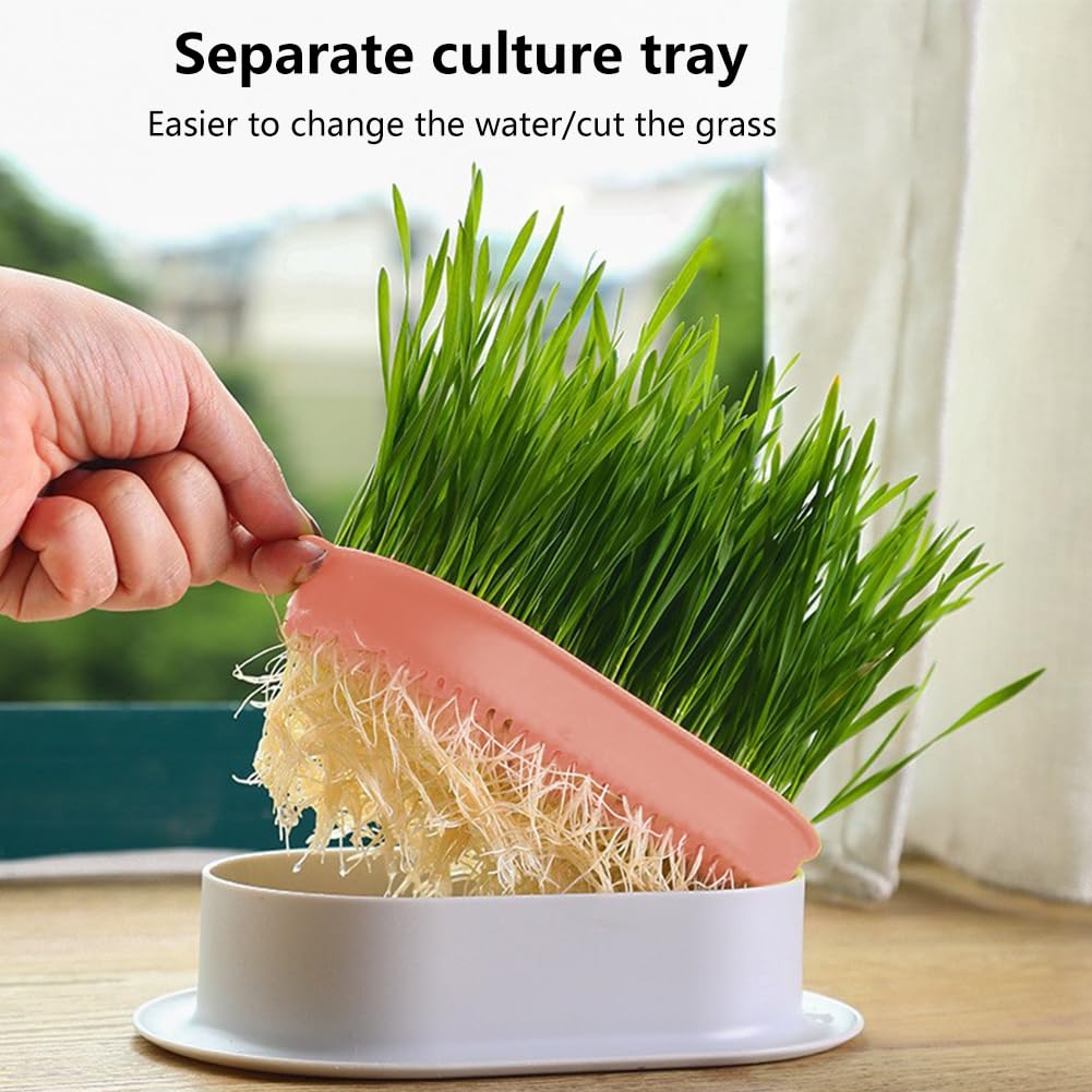 Londehuhai 3pcs Cat Grass Planter, Plastic Catnip Cat Grass Box Wheatgrass Planting Trays Hydroponic Ca-t Gras-s Growing Kits Nursery Ca-t Plant Garden Pots for Indoor/Outdoor Use(Color:3)